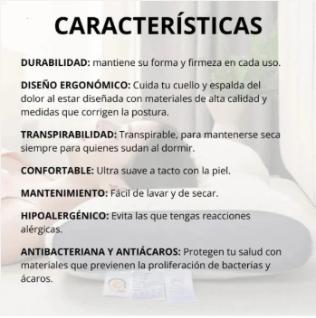 😴✨ ErgoDream™ – Tu Descanso, Sin Dolor ✨💤